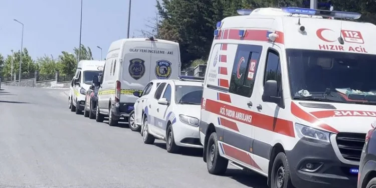 Mezarlıkta bebek cesedi bulundu