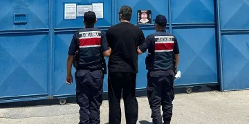Limon bahçesinde saklanan hükümlü yakalandı
