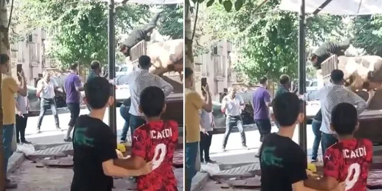 Kızgın boğa kasaba hayatının kabusunu yaşattı