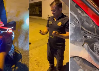 Bursa’da motosikletin içine giren yılanı çıkardı
