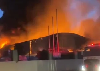 Adana’da geri dönüşüm fabrikasında yangın