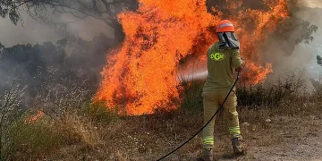Orman yangını büyümeden söndürüldü