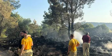 Mangal yakarak orman yangınına neden olan şahıs tutuklandı