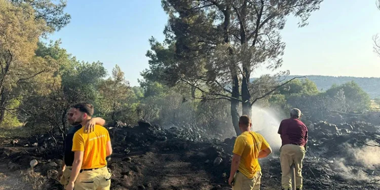 Mangal yakarak orman yangınına neden olan şahıs tutuklandı