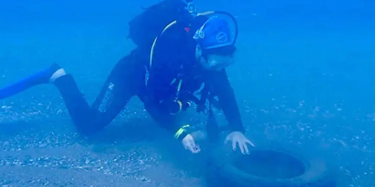 Caretta carettalar için deniz dibi temizliği yapıldı