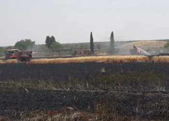 Kilis’te buğday tarlasında yangın