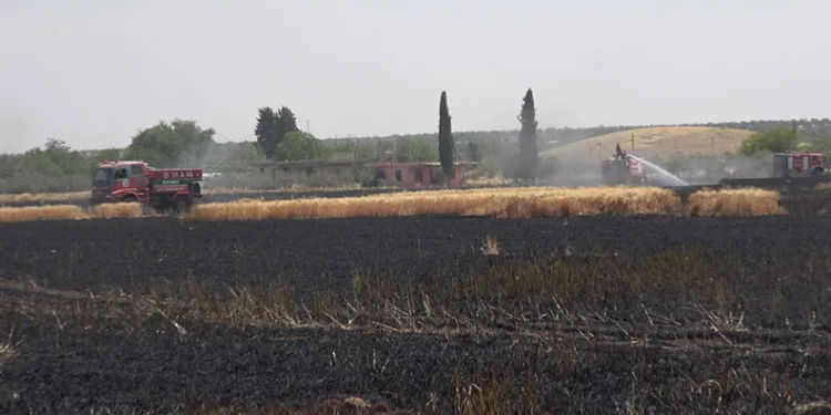 Kilis’te buğday tarlasında yangın