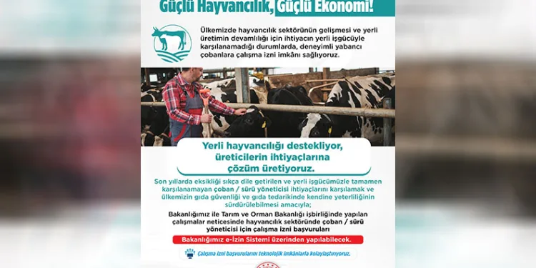 Yabancı çobanlar için çalışma izni başvuruları başladı