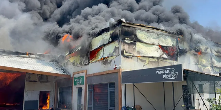 Fide üretim merkezinde yangın