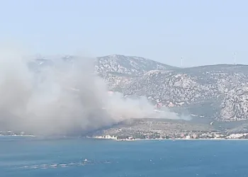 İzmir’de orman yangını