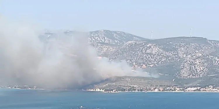 İzmir’de orman yangını