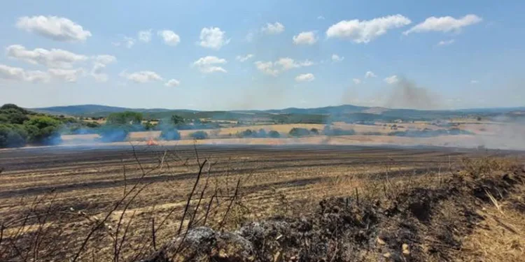 Çanakkale’de tarım arazisinde yangın