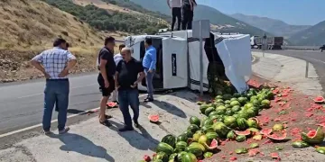 Gaziantep’te virajı alamayan karpuz yüklü kamyonet yan yattı