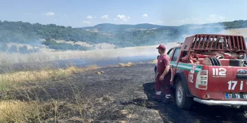 Bayramiç’te tarım arazisinde çıkan yangın kontrol altına alındı