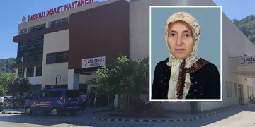 Üzüm yaprağı toplarken düşen kadın hayatını kaybetti
