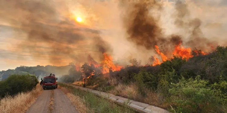 Çanakkale’de 11 orman yangınıyla ilgili 6 şüpheli gözaltına alındı