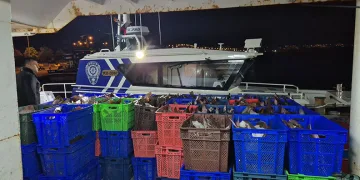 Samsun açıklarında 6 ton kaçak kalkan balığı ele geçirildi