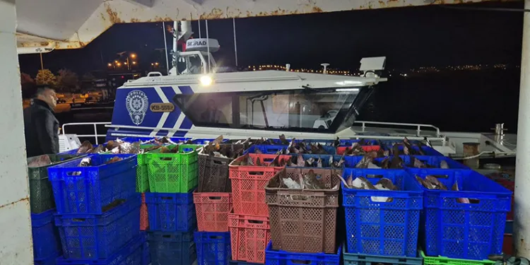 Samsun açıklarında 6 ton kaçak kalkan balığı ele geçirildi