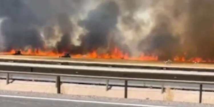 Şanlıurfa’da 100 dönümlük buğday tarlası küle döndü