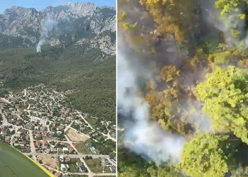 Kemer’de orman yangını