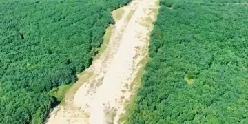 Tekirdağ’da orman nöbeti