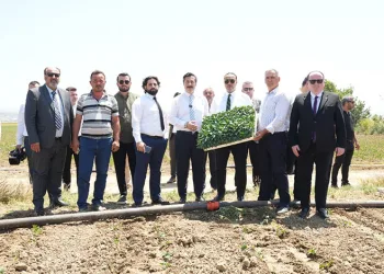 Yenişehir’in tarım ürünleri Libya’ya ihracat edilecek