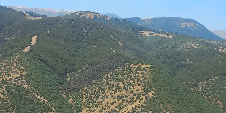 Manisa’daki orman yangını 2 saatte söndürüldü