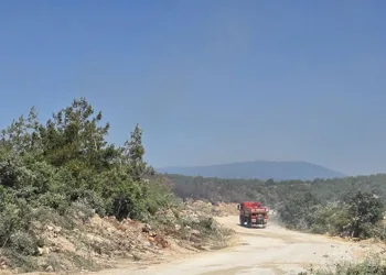 Nilüfer’de yangın başarıyla söndürüldü