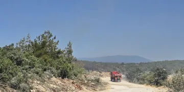 Nilüfer’de yangın başarıyla söndürüldü