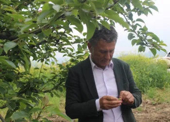 Sarıbal: “Çiftçi yine kaderine terk edildi”