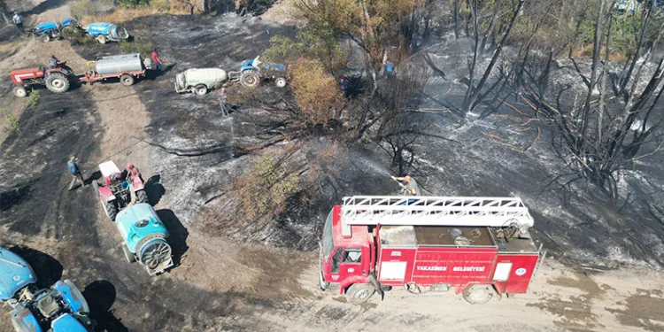 Eber Gölü yanındaki tarım arazilerinde yangın çıktı