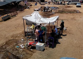 Kurbanlık fiyatları yüzde 40 düştü