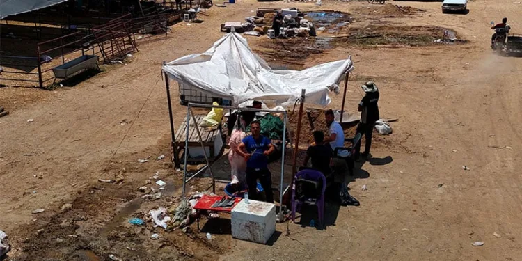 Kurbanlık fiyatları yüzde 40 düştü