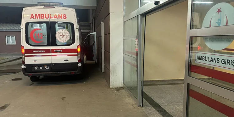 Bayram tatillerinde günlük geçiş 20 binlerden 60 binlere dayandı