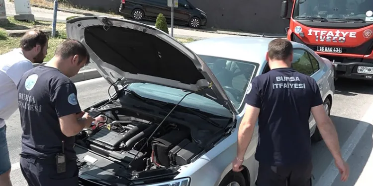 Bursa’da yavru kedi, trafiği kilitledi
