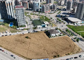 Gökdelenlerin ortasında buğday hasadı