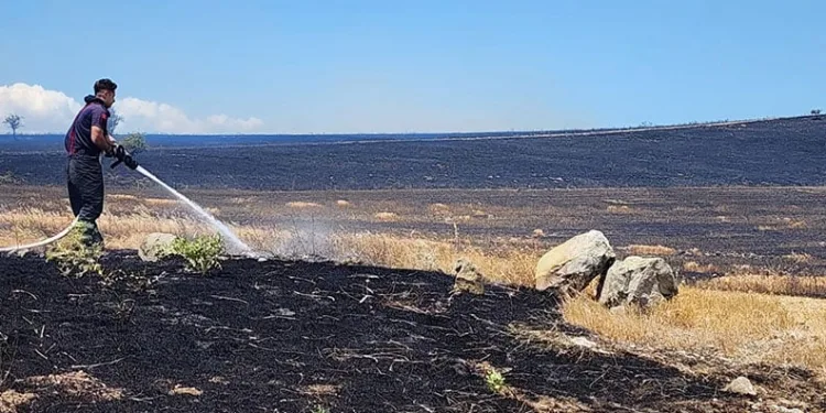 10 bin dönümlük arazi alevlere teslim oldu