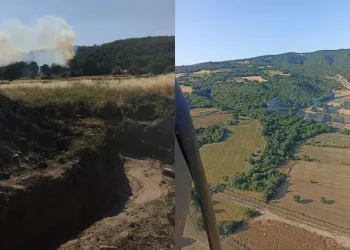 Kestelek’te Orman Yangını Kontrol Altına Alındı