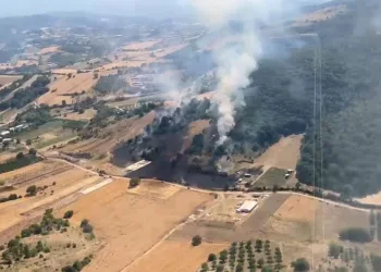 Kestel Seymen’de Orman Yangınına Hızlı Müdahale