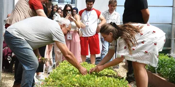 Avrupalı öğrenciler Osmangazi’de fide dikti