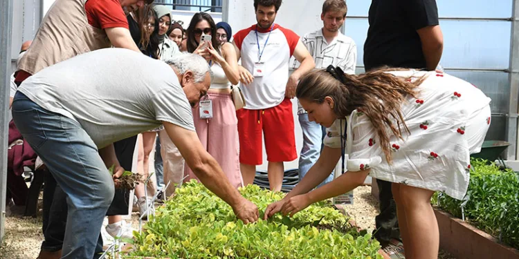 Avrupalı öğrenciler Osmangazi’de fide dikti