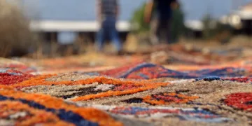 Tarlalarda milyonluk halı nöbeti başladı