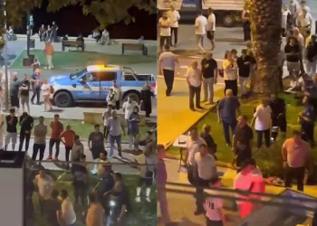 Bursa’da başıboş kangal dehşeti