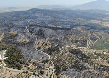 Yangının hasarı havadan görüntülendi