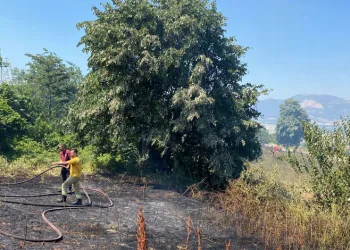 Cumalıkızık’ta Yangın: Ekiplerce Söndürüldü
