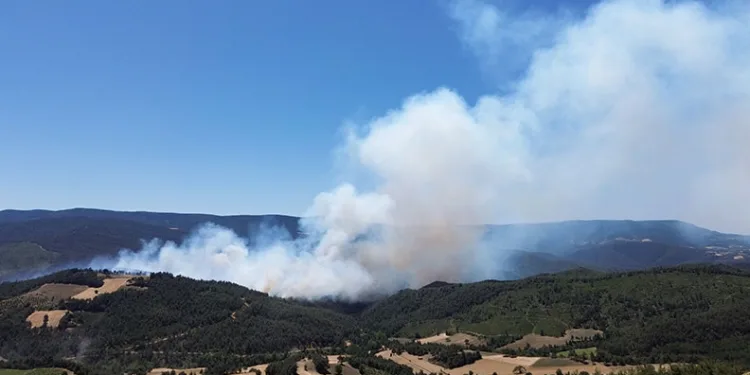 Sakarya’daki orman yangını havadan görüntülendi