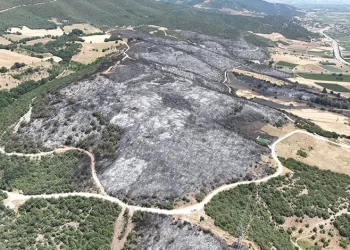 Bursa’daki yangınlarda 65 hektar küle döndü