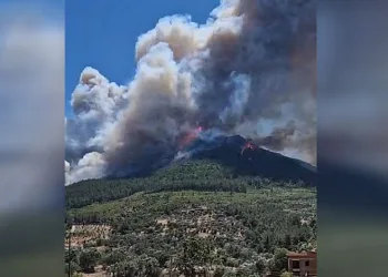 İzmir Menderes’te orman yangını