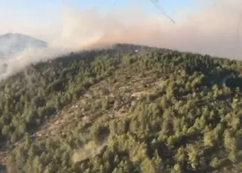 Antalya Gazipaşa’da orman yangını