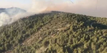 Antalya Gazipaşa’da orman yangını